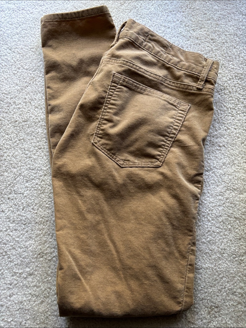 Gap Camel Stretch Cords